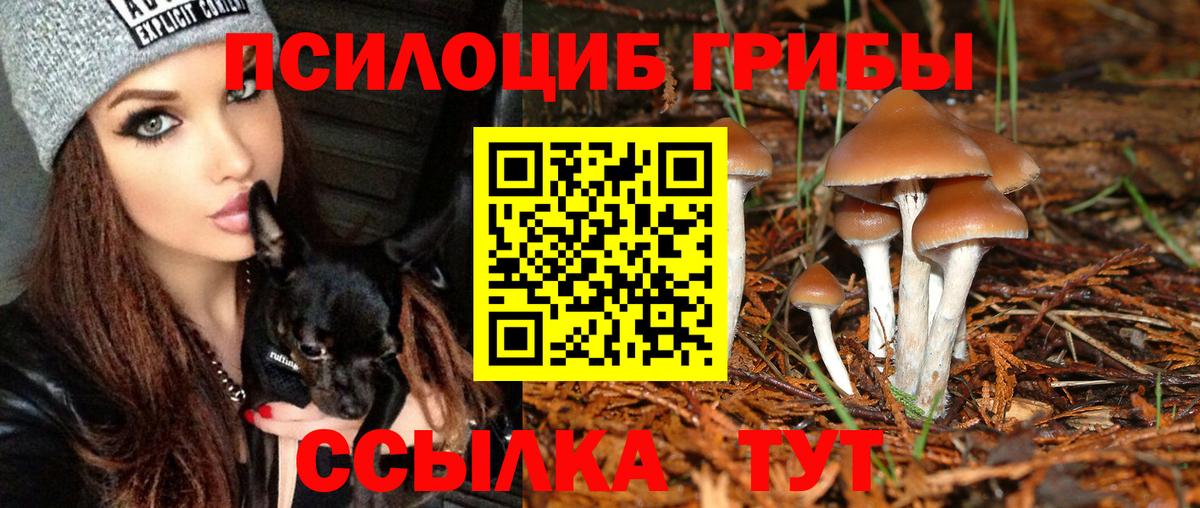 Нефтеюганск  Галлюциногенные грибы Magic Shrooms  Вход с VPN 